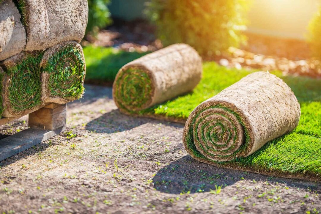 Eco-Friendly Landscaping: Beauty That Respects Nature